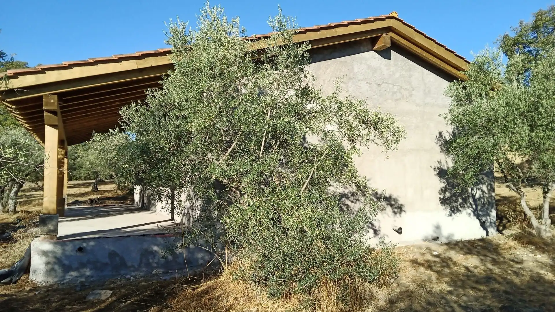 Maison à vendre à Villanueva de la Vera