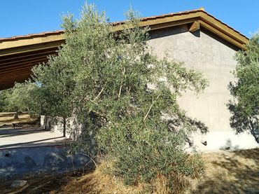 Casa en venta en Villanueva de la Vera