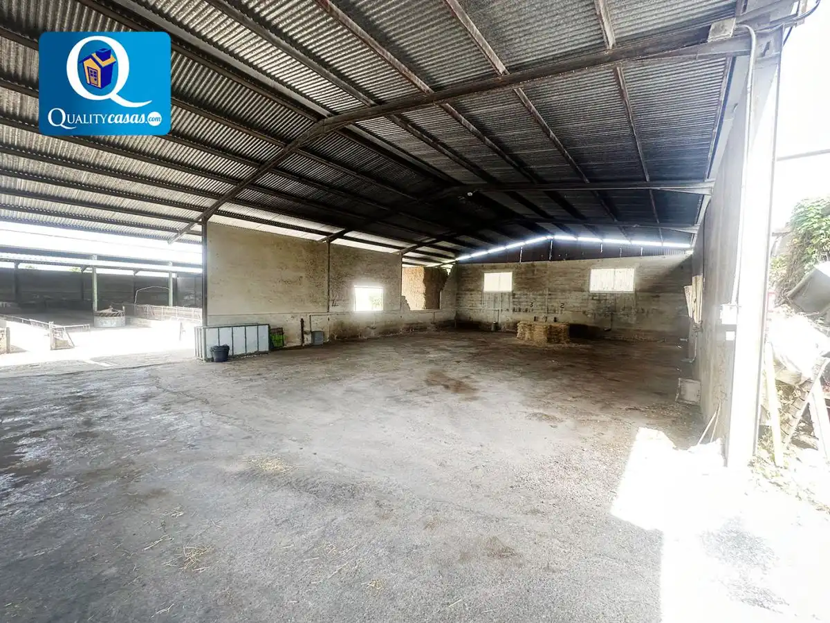 Vista exterior de Casa o chalet en venta en Crevillent con Terraza