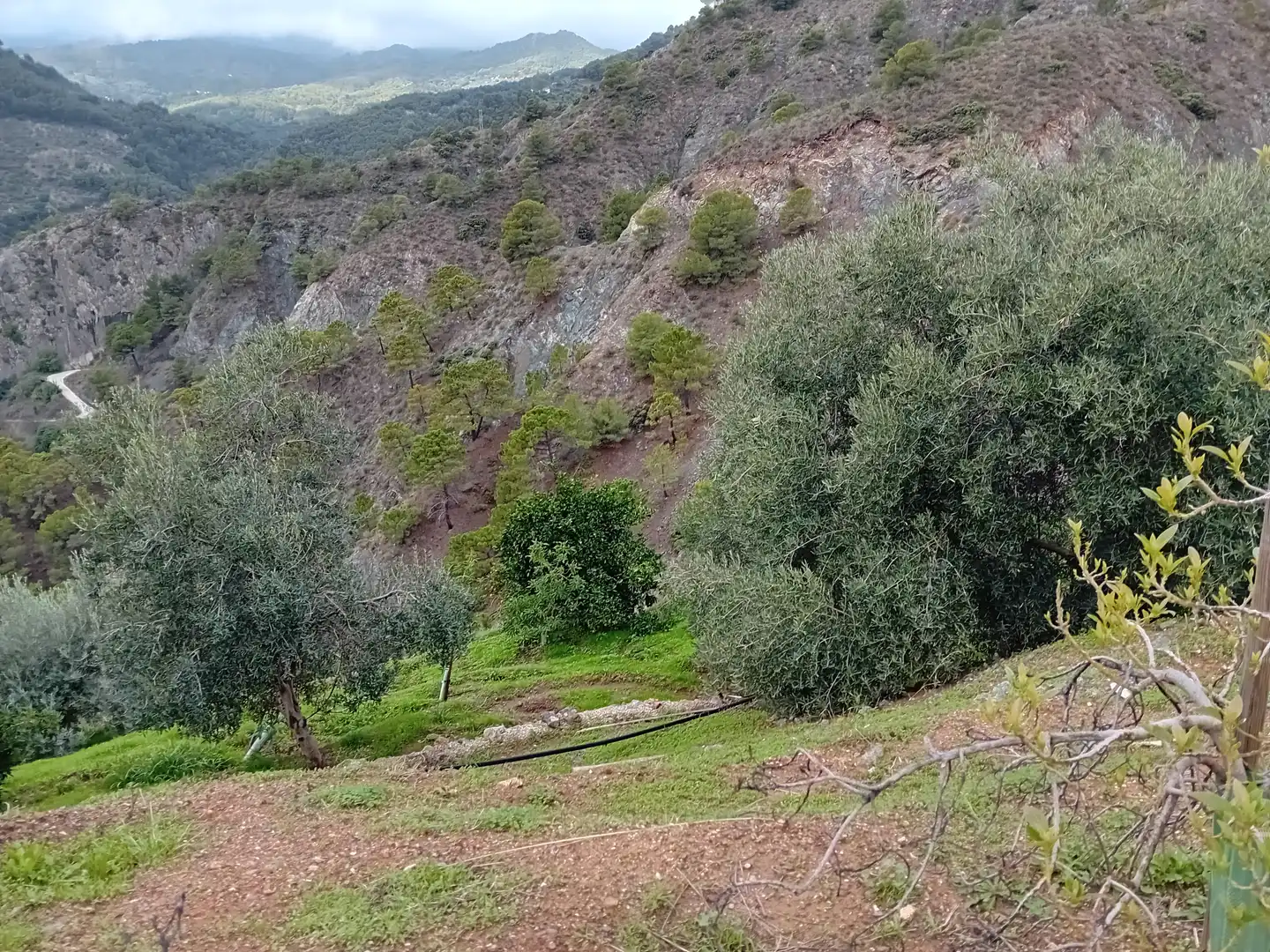 Casa rústica amb jardí en venda a Yunquera, imagen 10