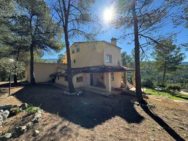 House with garden for sale in Centre - Zona Alta