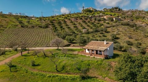 Foto 3 de Finca rústica en venda a Alozaina, Málaga