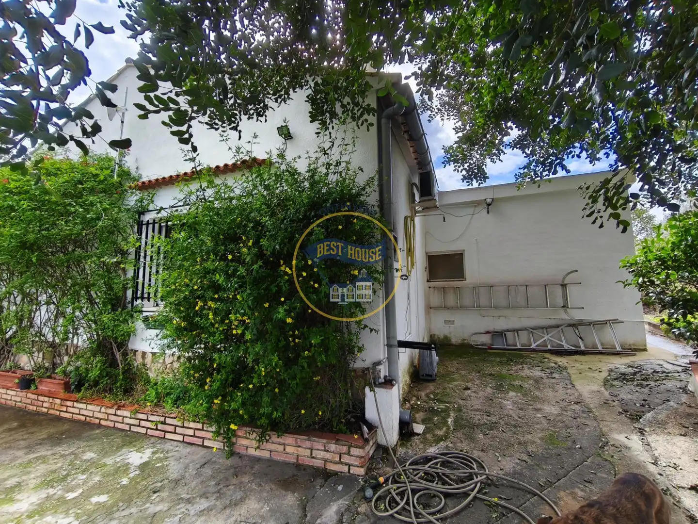 Vista exterior de Casa o xalet en venda en Aielo de Malferit amb Aire condicionat