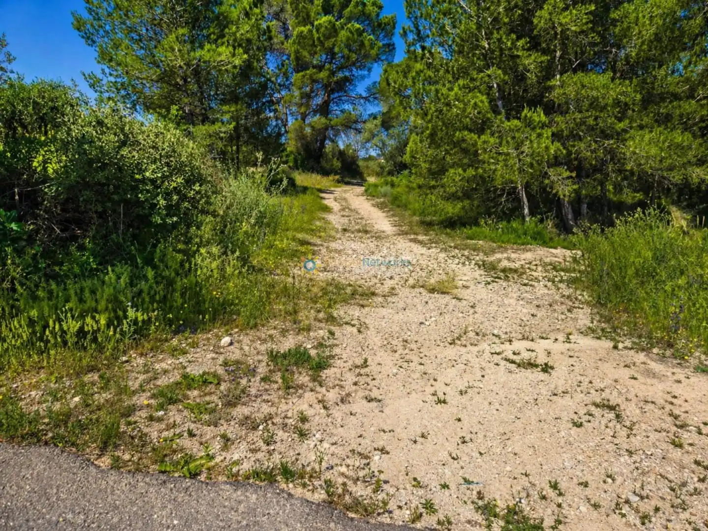 Terreno en venta en Bellús