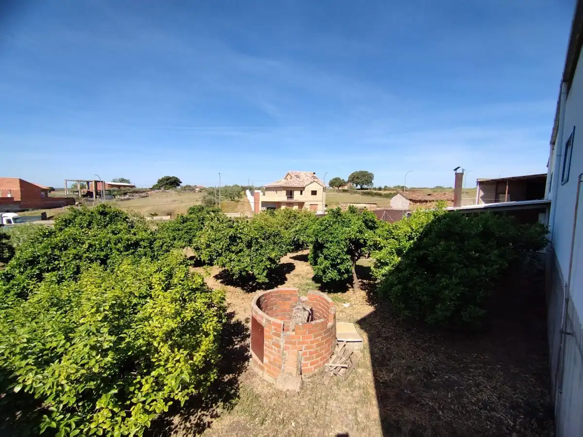 Jardí de Casa o xalet en venda en Montehermoso amb Terrassa i Traster