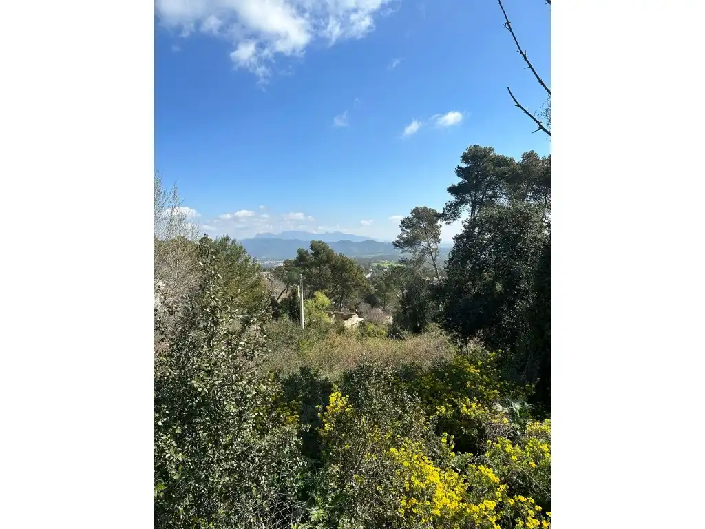 Residential land for sale in La Torre de Claramunt, imagen 6