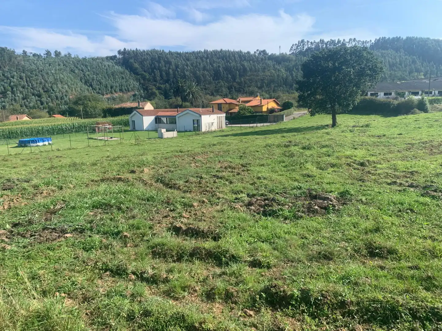 Lands and plots for sale in santiago del monte