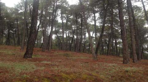 Photo 3 of Land for sale in Haza Lariguilla, 62, Cumbres Verdes, Granada