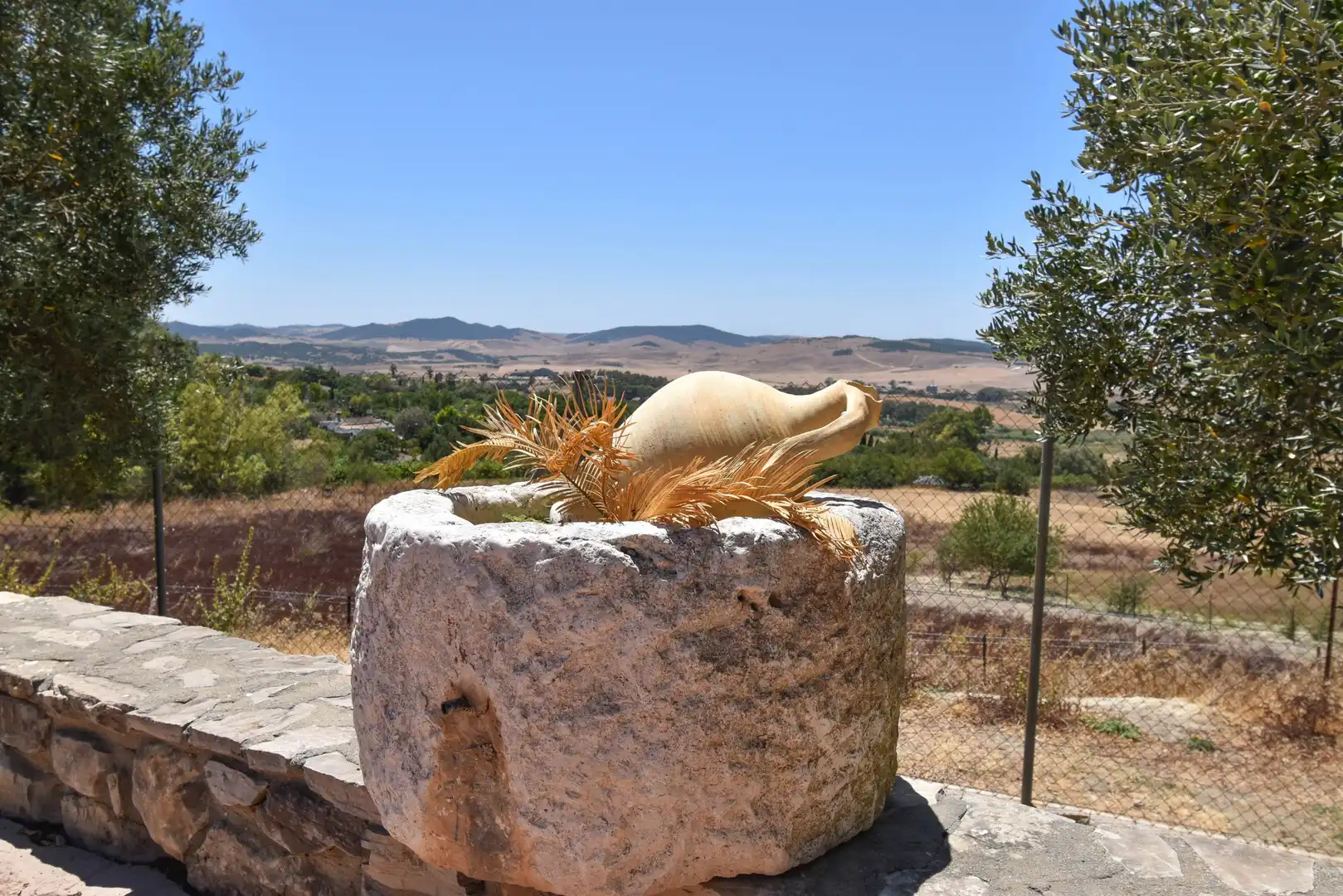 Terreni e lotti in vendita a Medina Sidonia, imagen 45
