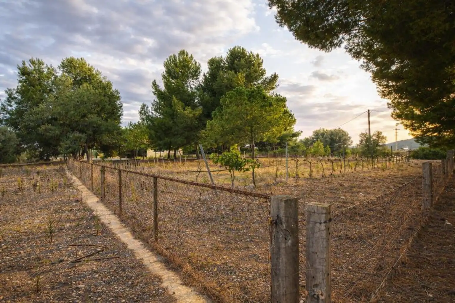 Finca rústica en venta en Santa Oliva con Jardín privado
