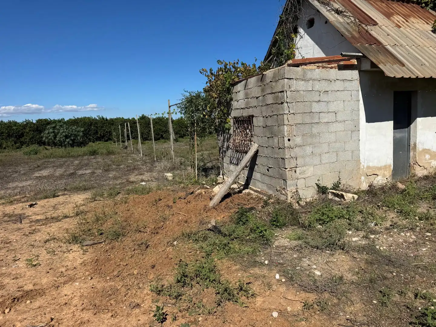 Casa rustica in vendita a CV-605, imagen 22