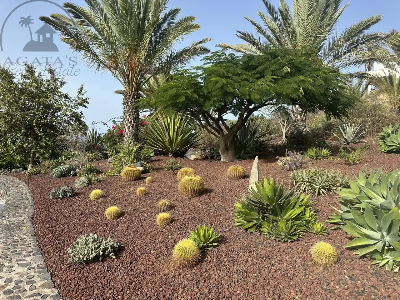Jardí de Casa o xalet en venda en Buenavista del Norte amb Jardí privat i Terrassa