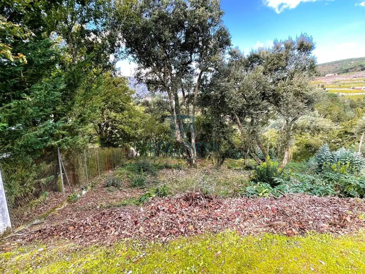 Terreni e lotti in vendita a San Rosendo, imagen 16