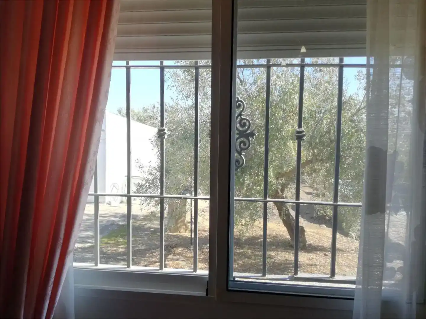 Jardín de Casa o chalet en venta en Montilla con Jardín privado, Trastero y Piscina