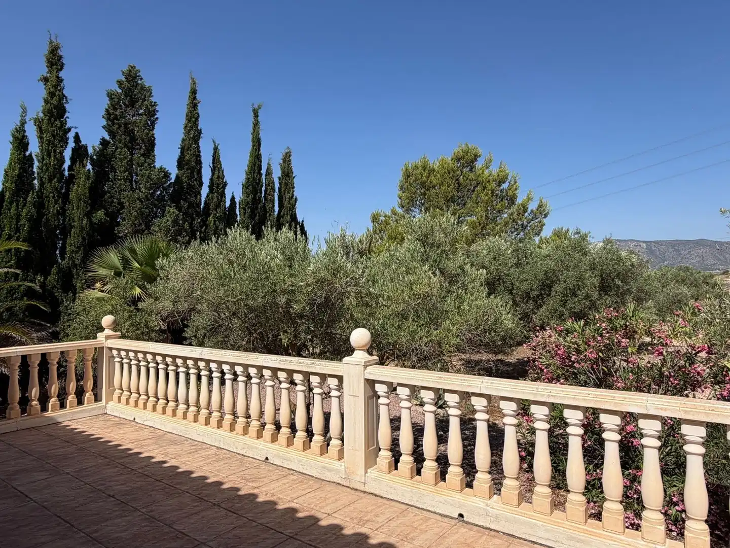 Maison à vendre à Salinas, imagen 11