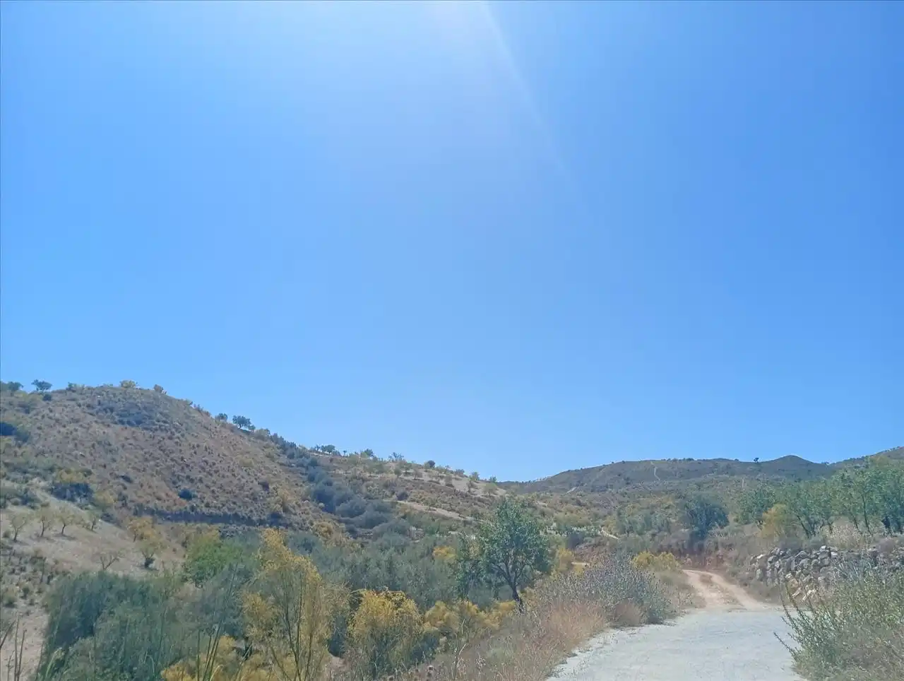 Terreny residencial en venda a Paraje Arroyo Del Aceituno, imagen 7