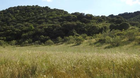 Foto 5 de Terreny en venda a Belvís de la Jara, Toledo