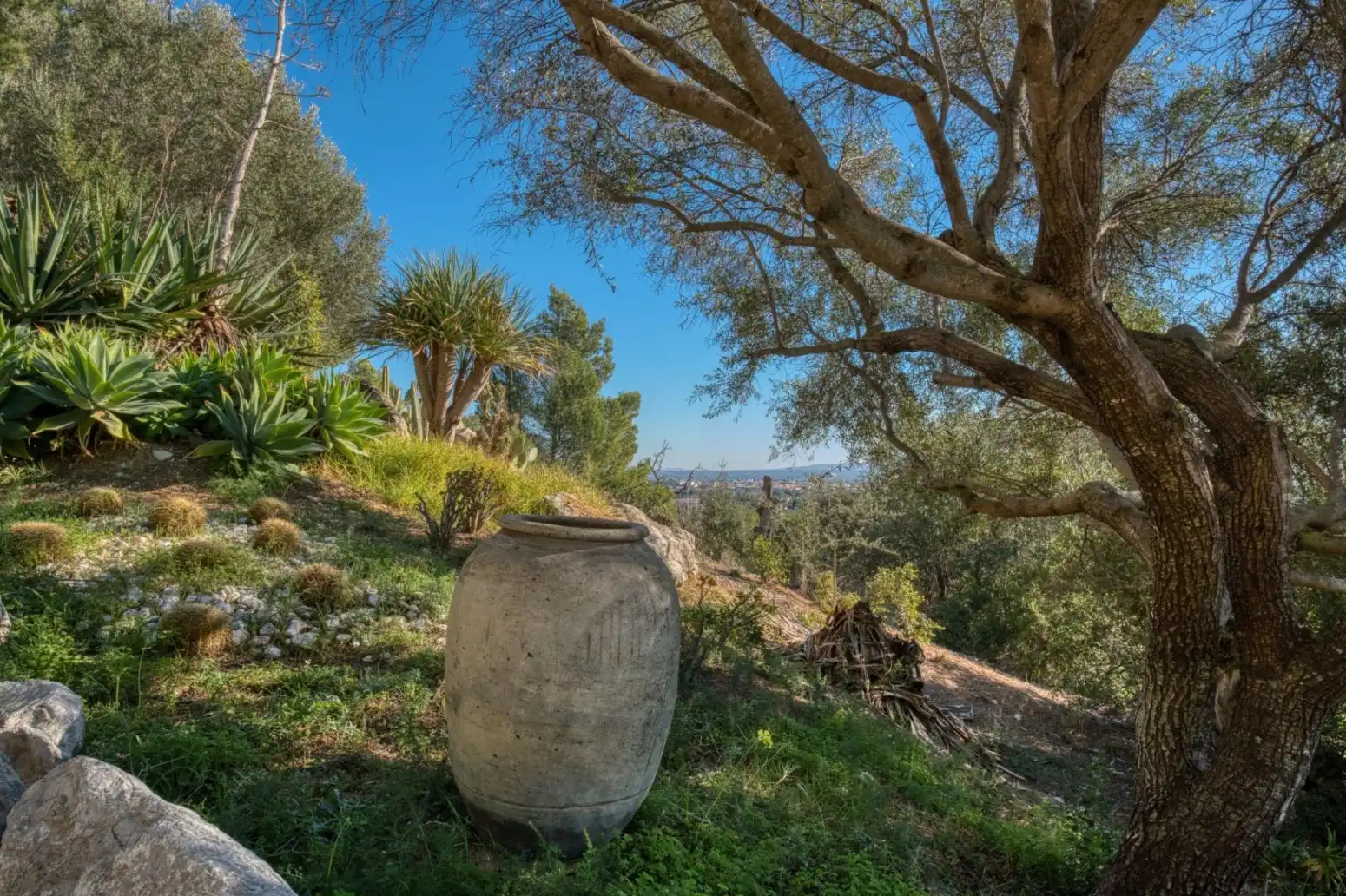 Maison avec terrasse à vendre à Santa María del Camí - Camino Camí des Raiguer, imagen 46