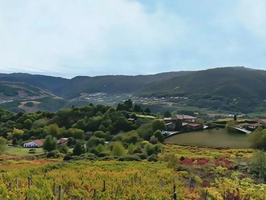 Vista exterior de Terreno en venta en A Teixeira 