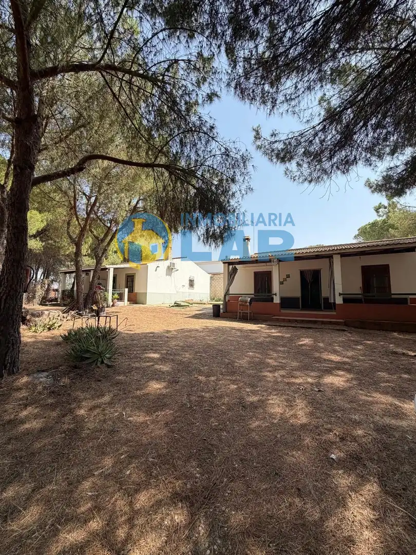 Finca rústica en venda a Moguer