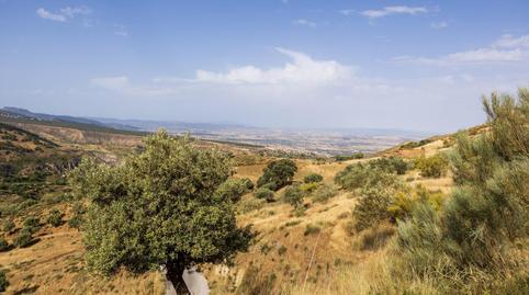 Photo 3 of Land for sale in  Haza del Collado, Zona baja, Sierra Nevada