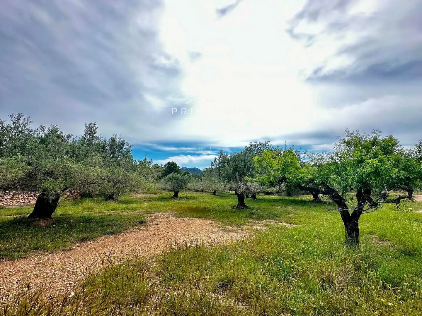 Terreno rústico en venta en Tivissa, imagen 25