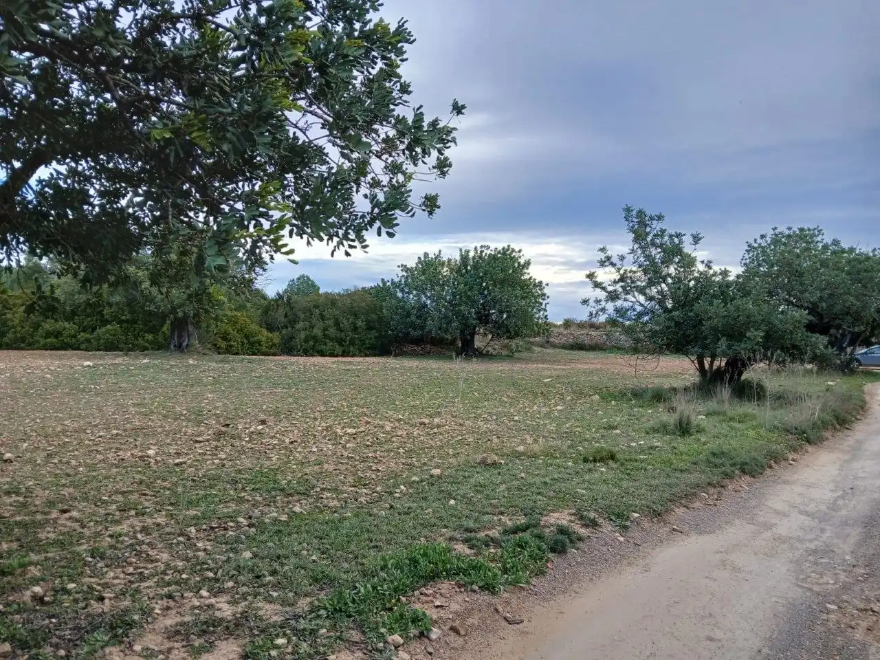 Terreno residenziale in vendita a Cheste