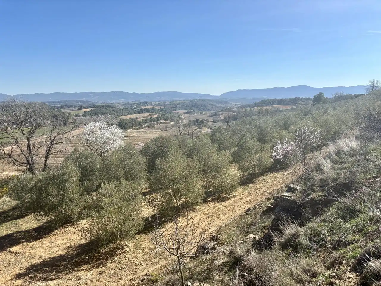 Terreno en venta en Solivella