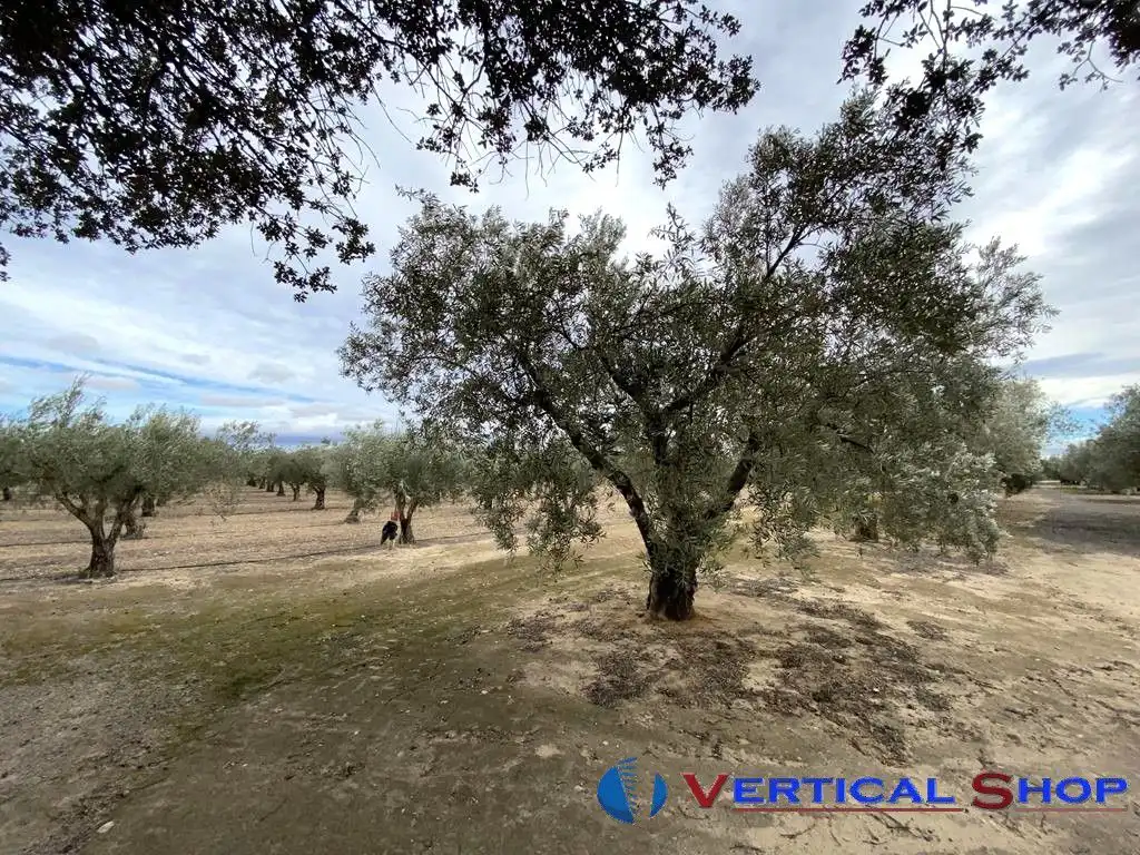 Casa o chalet en venta en Caudete