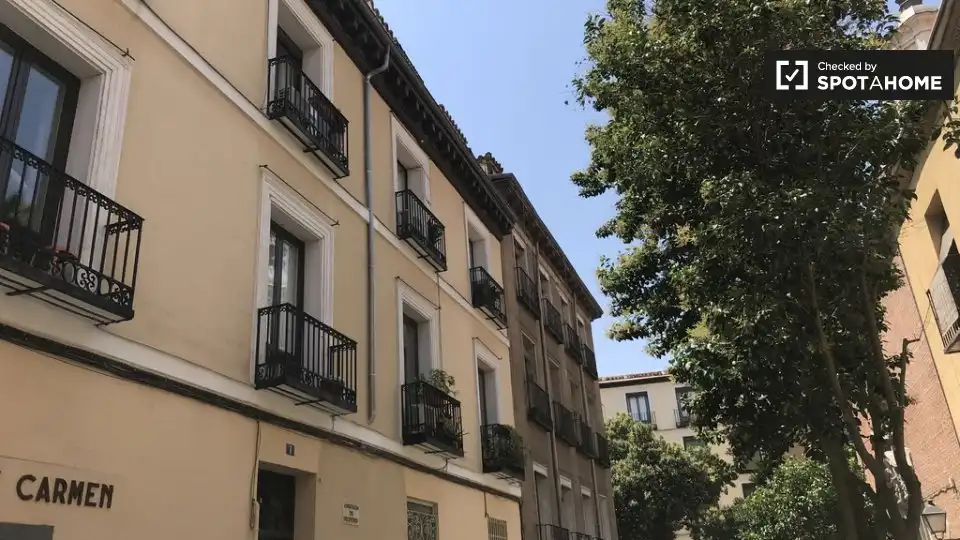 Room in Palacio