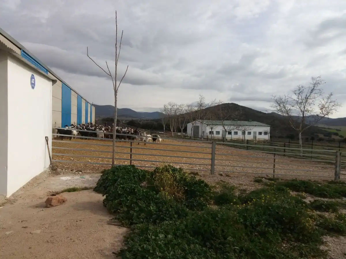 Finca rústica en venta en Fuente el Fresno
