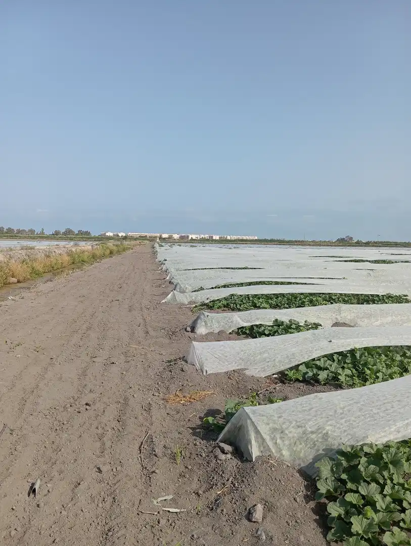 Rural land for sale in N/A, imagen 16