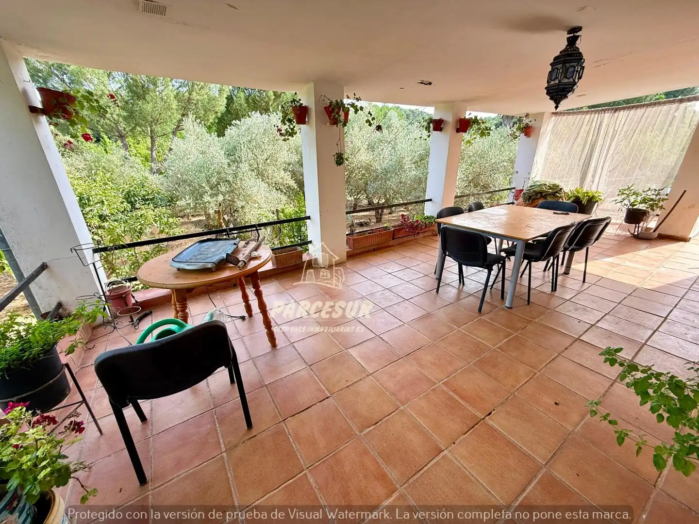 Jardí de Casa o xalet en venda en Córdoba amb Traster i Piscina