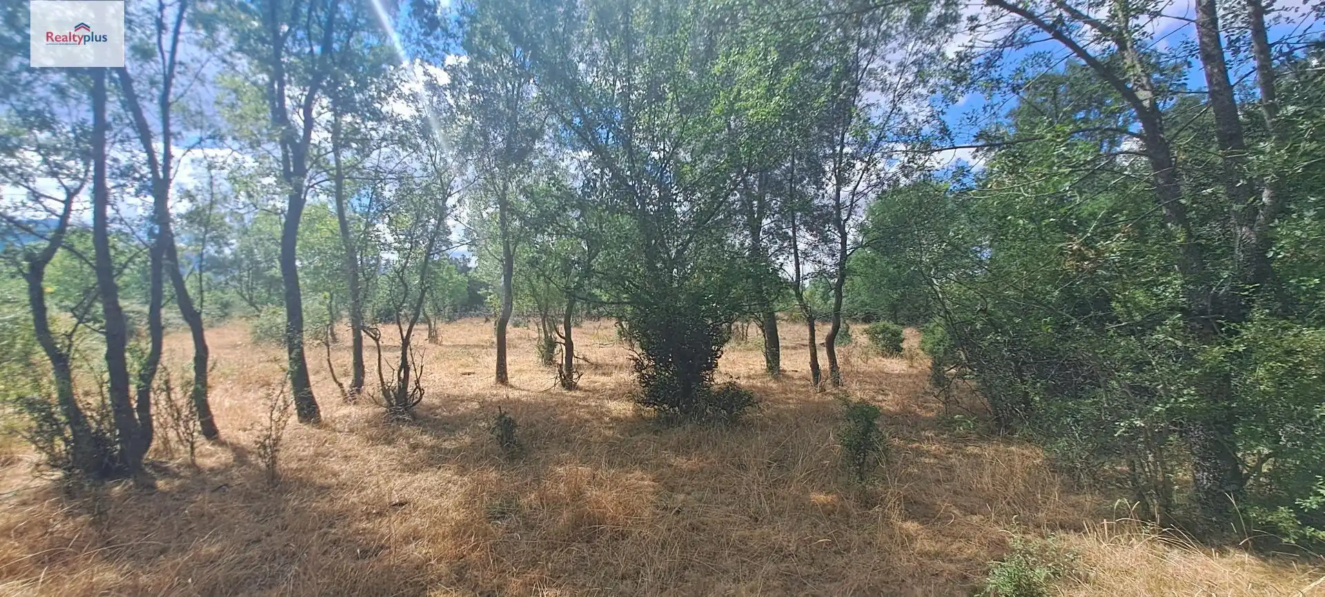 Terreni e lotti in vendita a Sotosalbos, imagen 9