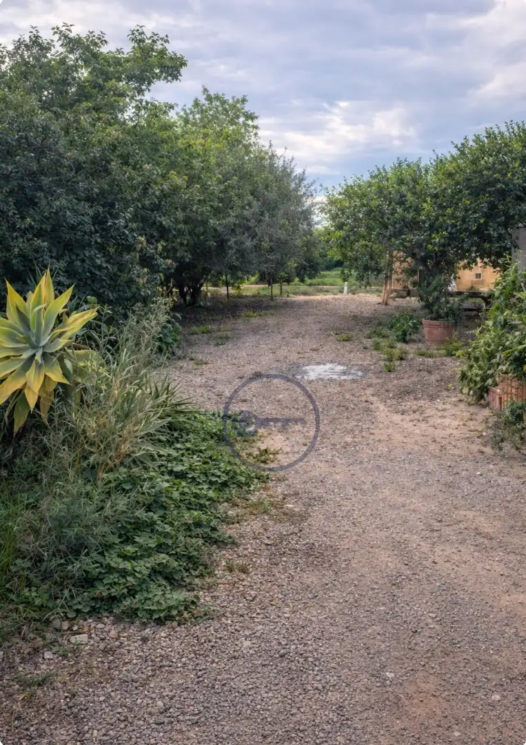 Casa rustica con giardino in vendita a Diseminado Rizaos, imagen 5