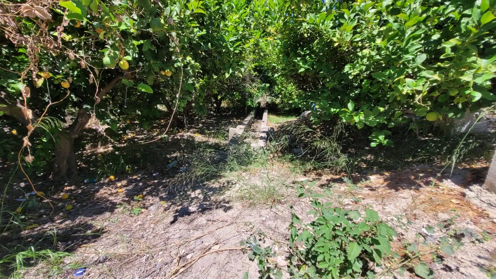 Terreno en venta en Murcia