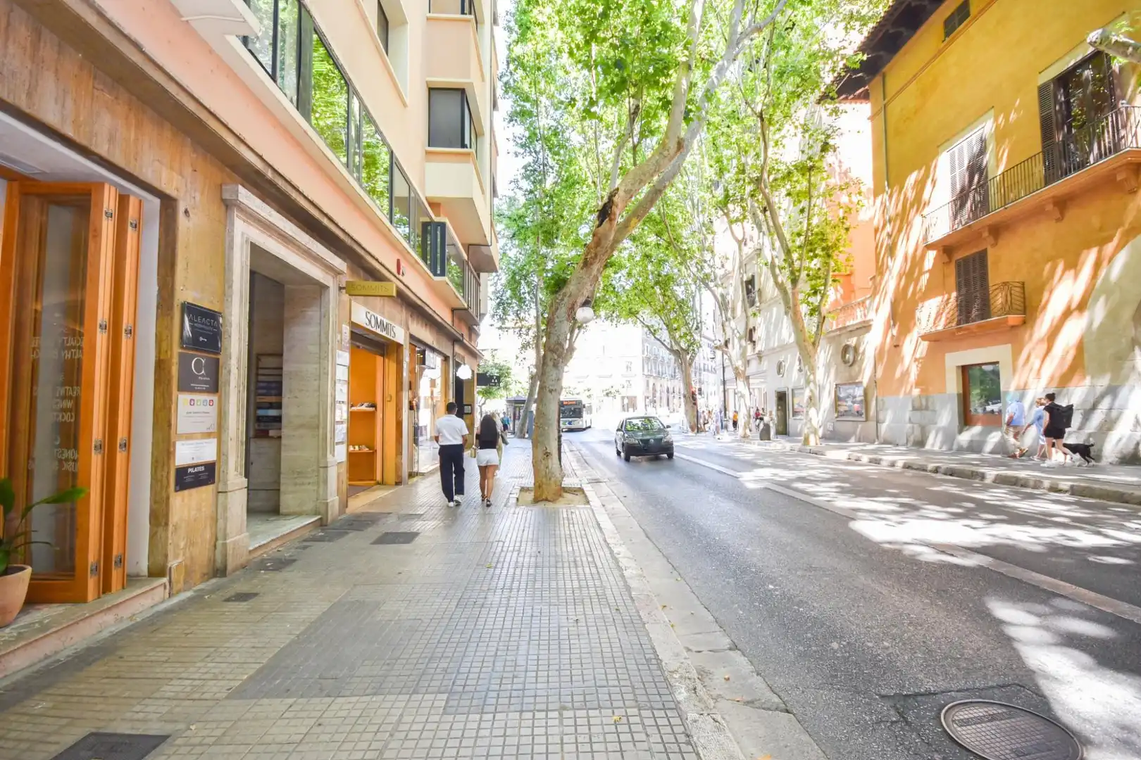 Vista exterior de Oficina de lloguer en  Palma de Mallorca amb Aire condicionat