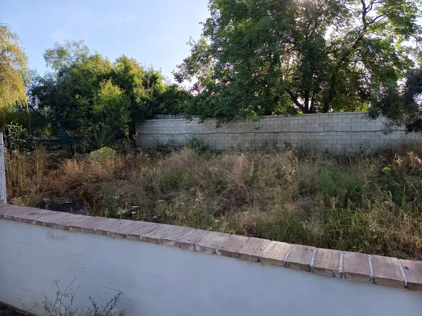 Casa o chalet en venta en Palomares del Río