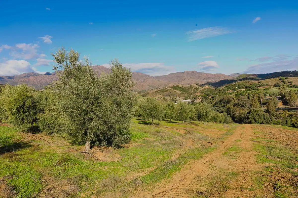 Casa con terraza en venta en Cmo. Diseminado Entrerrios, imagen 48