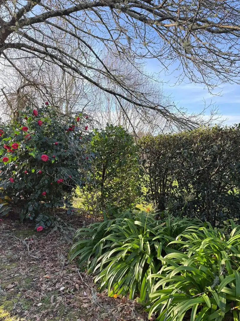 Jardín de Finca rústica en venta en Monfero con Calefacción, Jardín privado y Amueblado