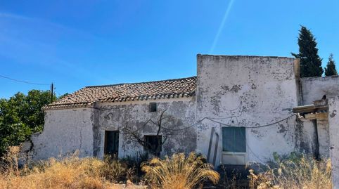 Foto 4 de Terreny en venda a Diseminado Cr Almiron, 22, Almargen, Málaga