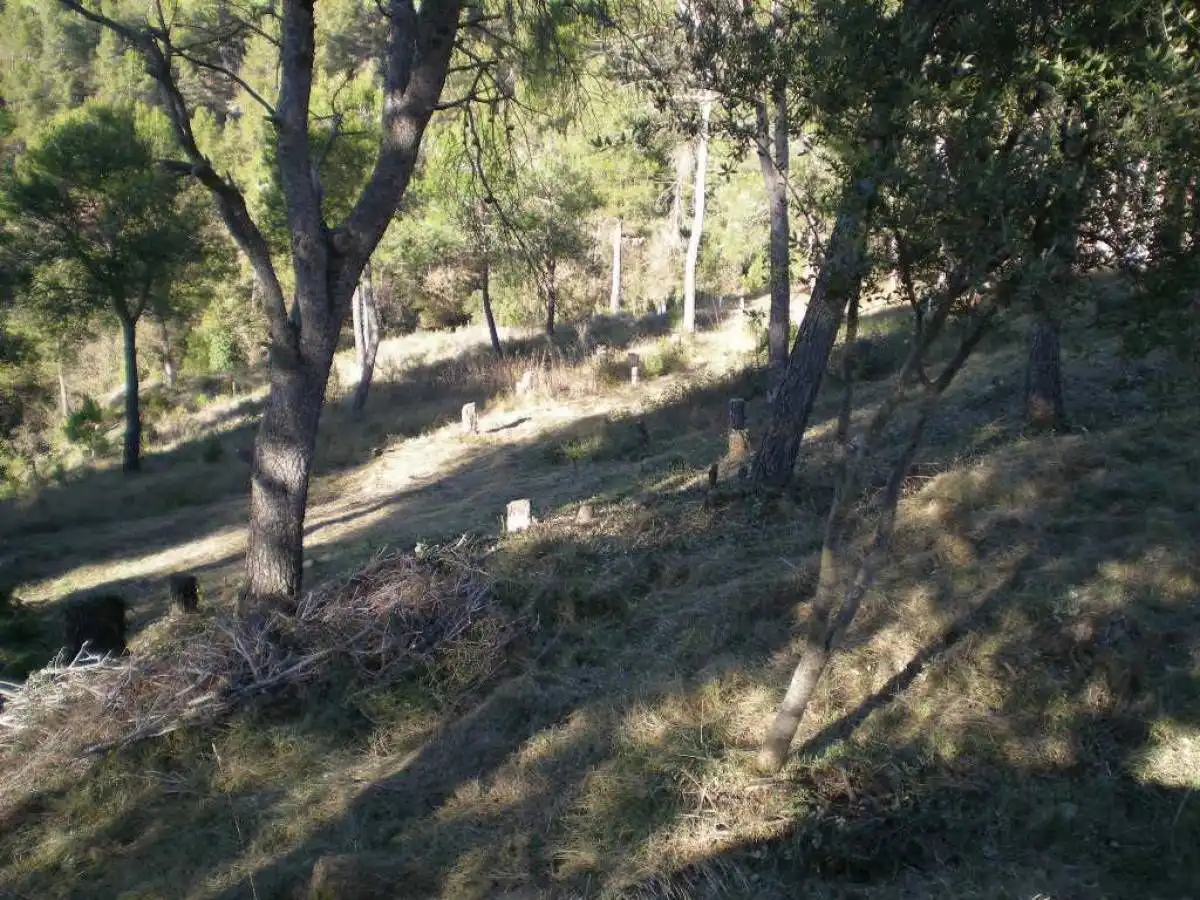 Terrenys i solars en venda a Castellnou de Bages, imagen 4