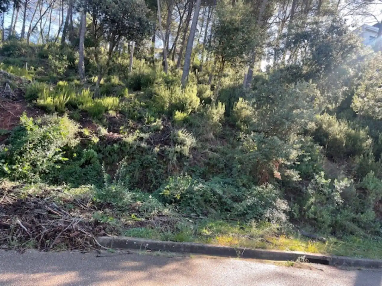 Rustikales Grundstück zum Verkauf in Calle Pollancre, imagen 14