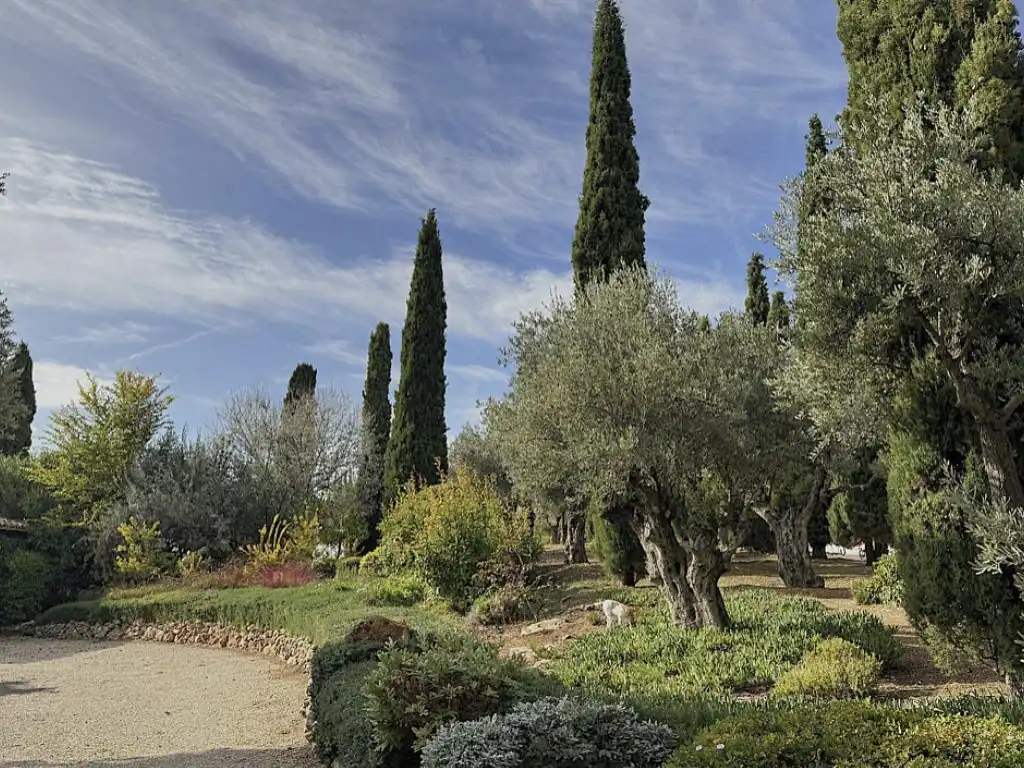 Jardín de Casa o chalet en venta en Chinchón con Jardín privado, Terraza y Piscina