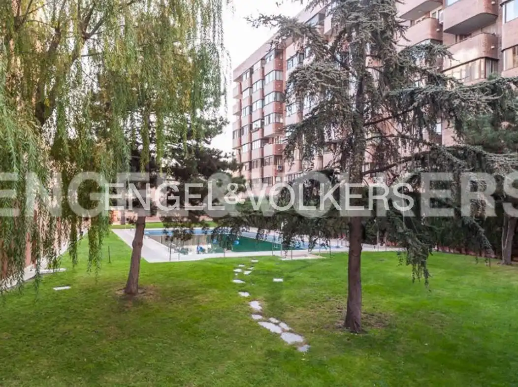 Piscina de Pis de lloguer en Madrid amb Aire condicionat, Calefacció i Jardí privat