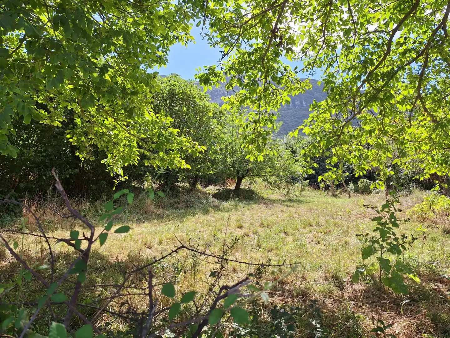 Terreni e lotti in vendita a siones, imagen 4