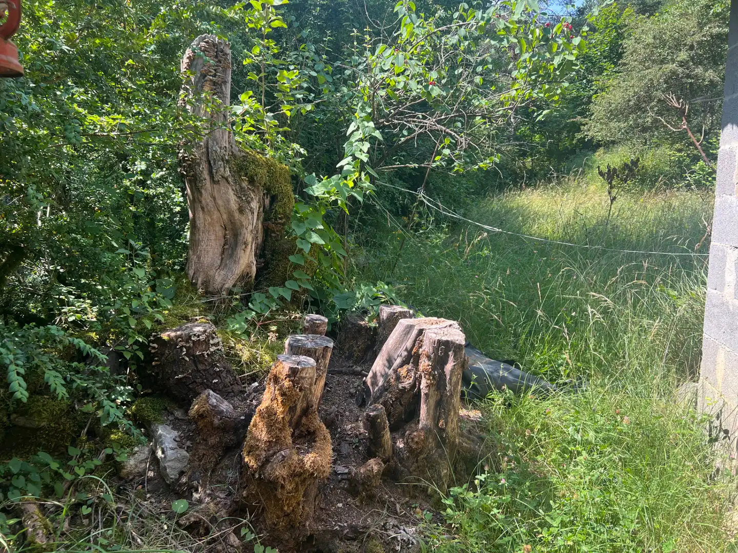 Terreni e lotti in vendita a Calle Única 52, imagen 33