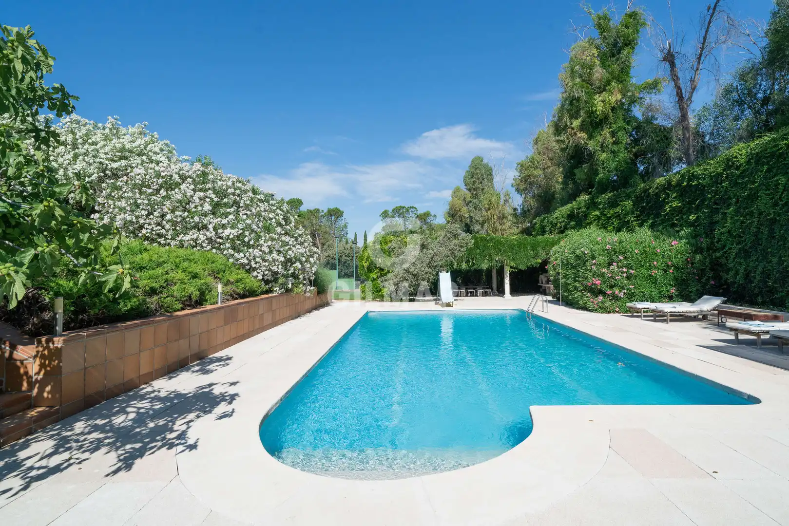 Piscina de Casa o chalet en venta en Algete con Piscina