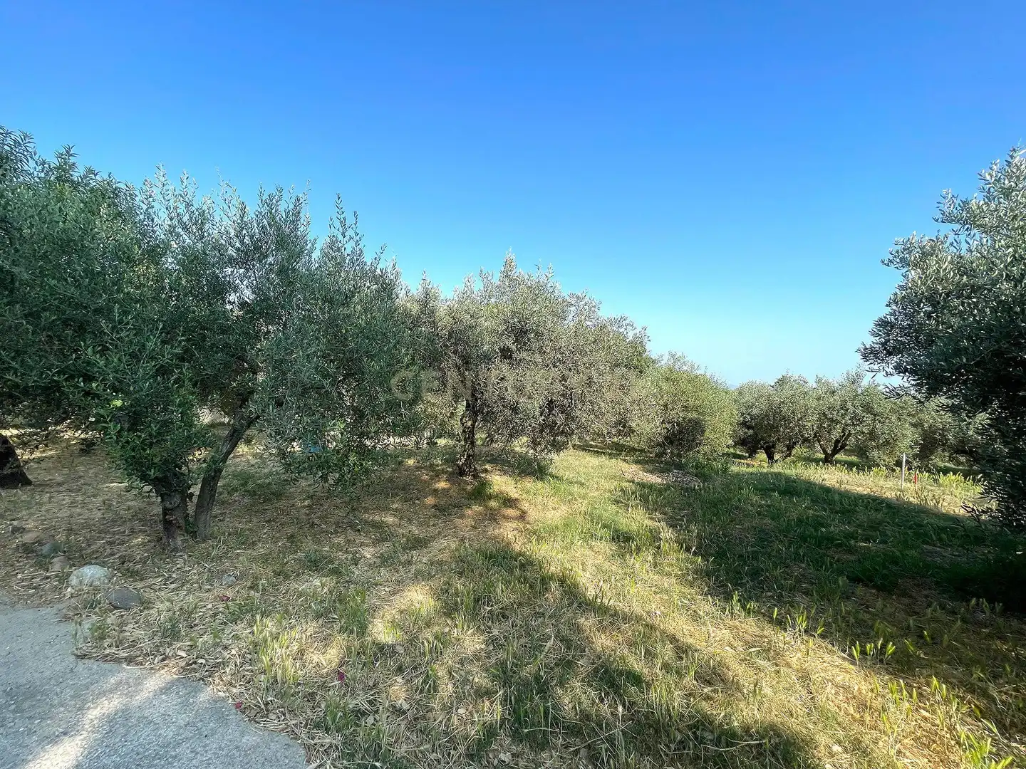 Houses for sale in Terrassa  with Air Conditioner, Private garden and Storage room