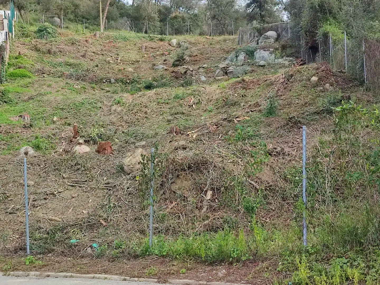 Terreny residencial en venda a mil pins 55, imagen 6